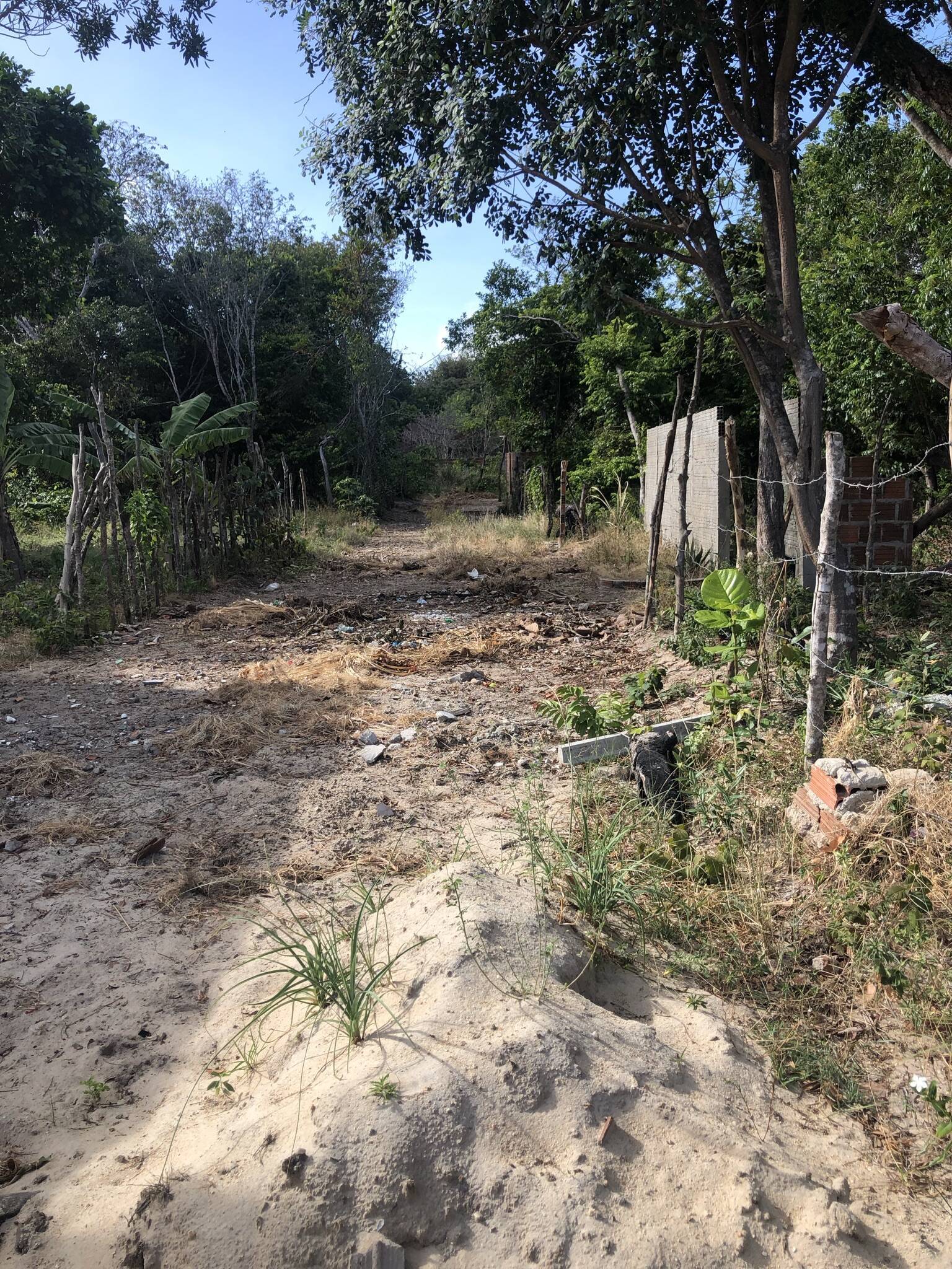 Terreno, 7700 m² - Foto 4