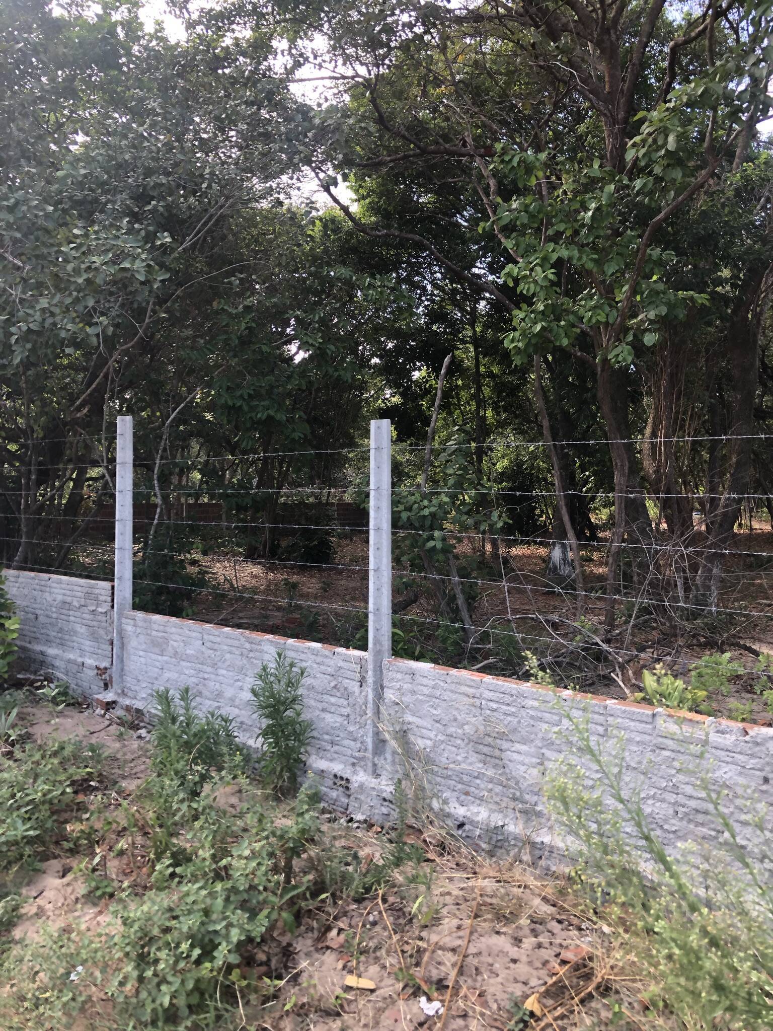 Terreno, 7700 m² - Foto 7