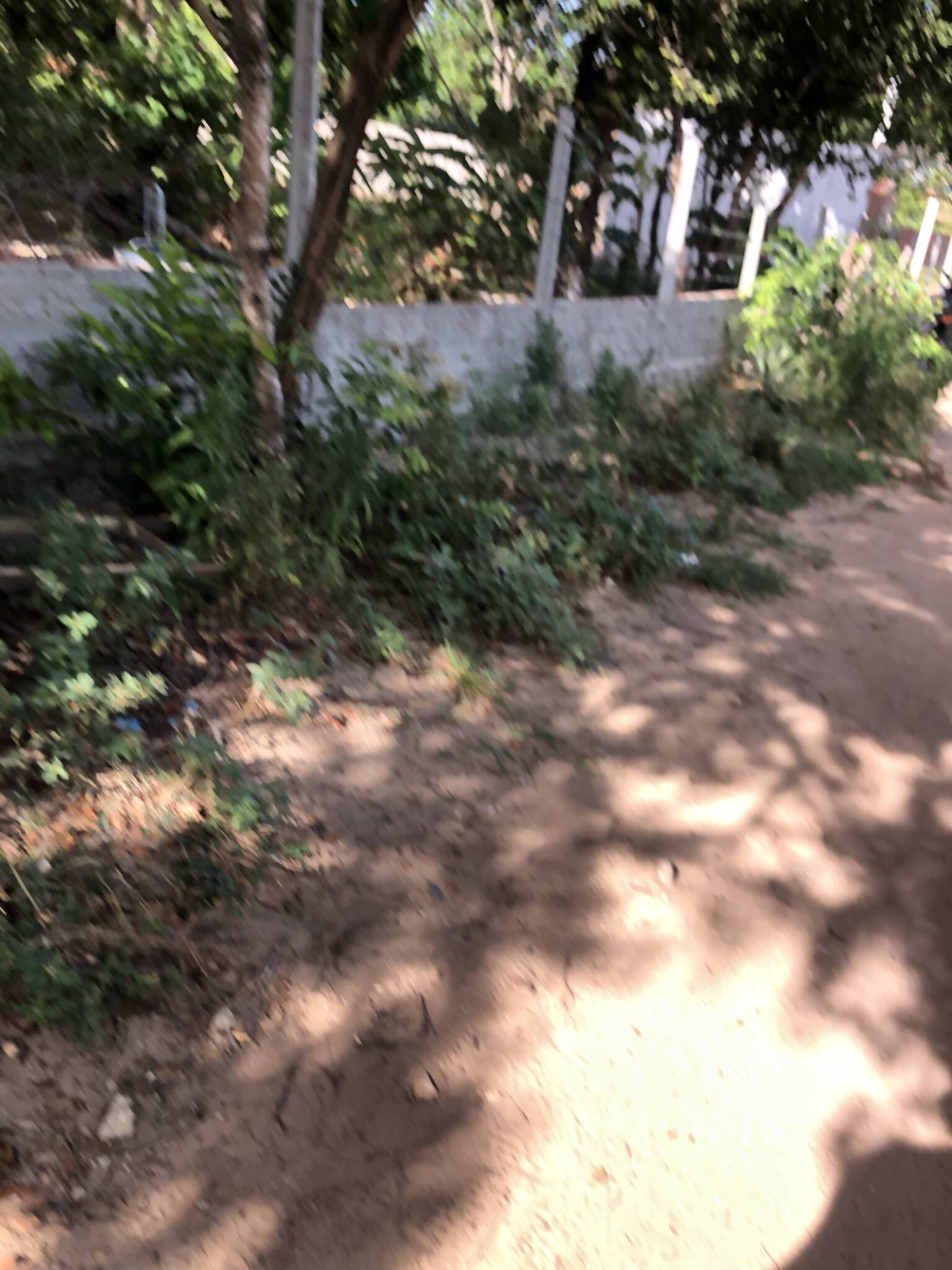 Terreno, 7700 m² - Foto 8