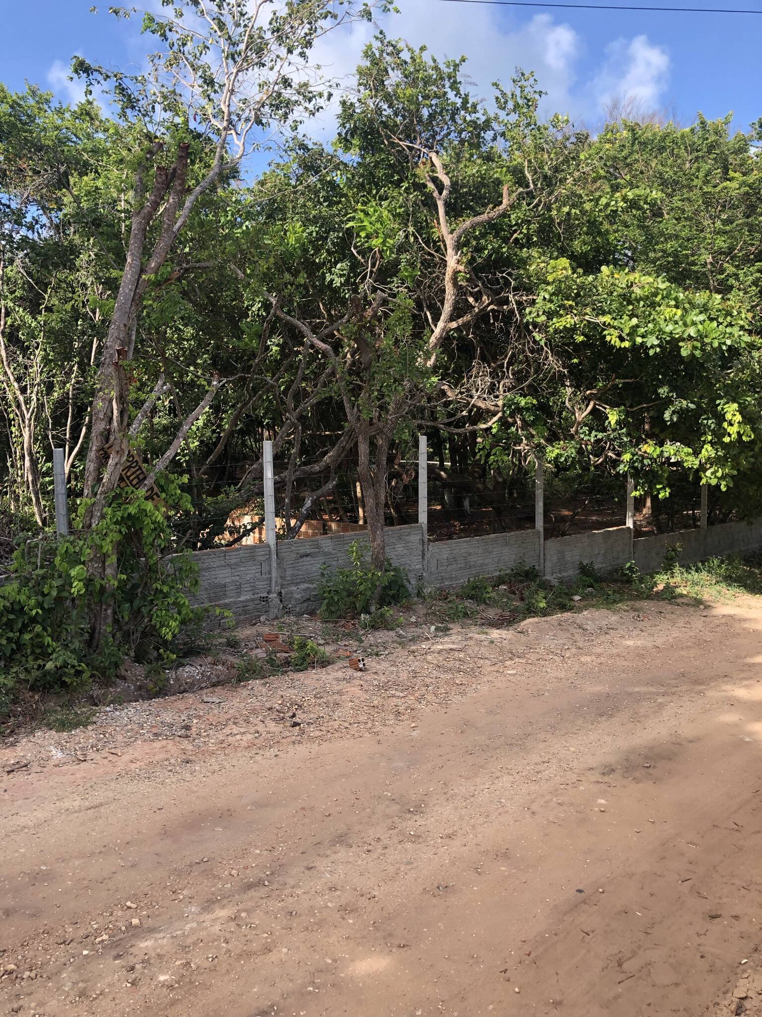 Terreno, 7700 m² - Foto 9