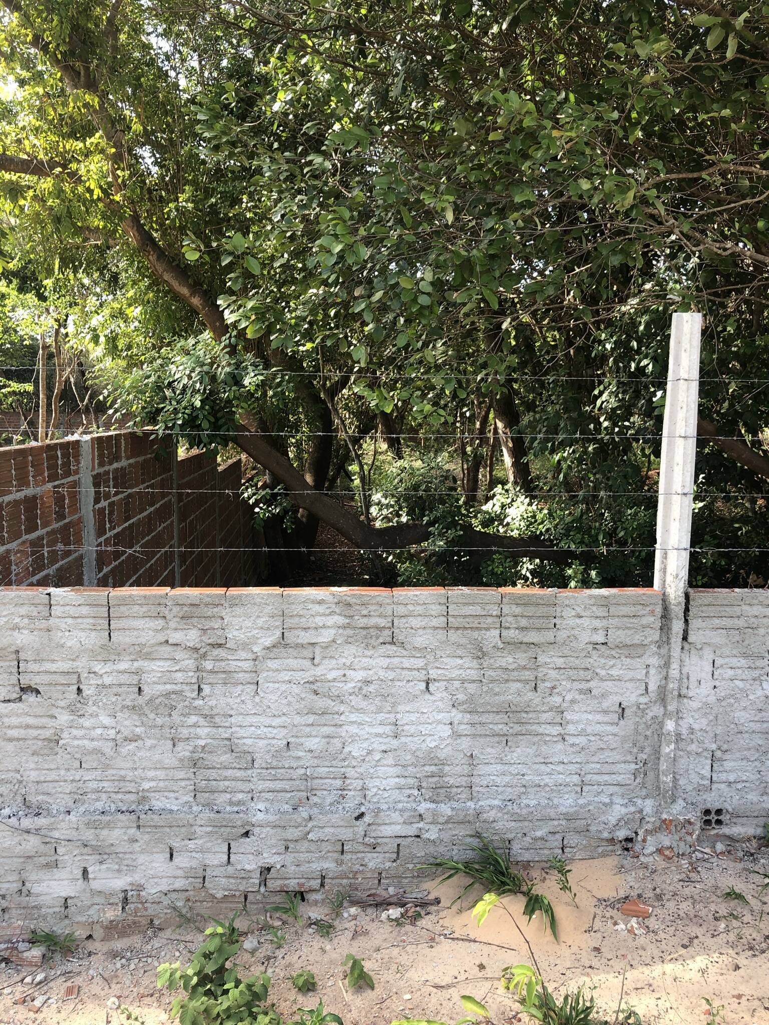 Terreno, 7700 m² - Foto 10