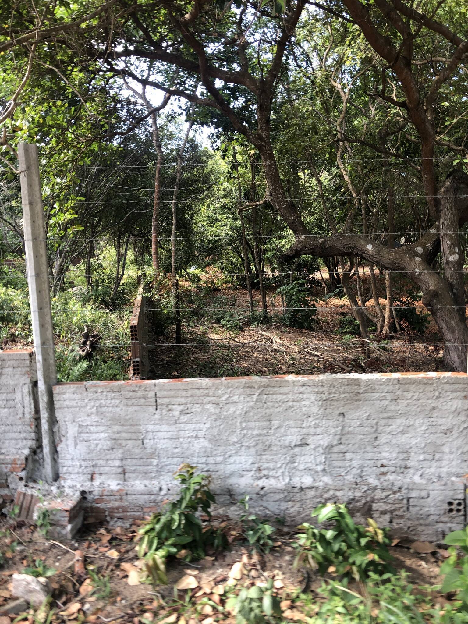 Terreno, 7700 m² - Foto 11