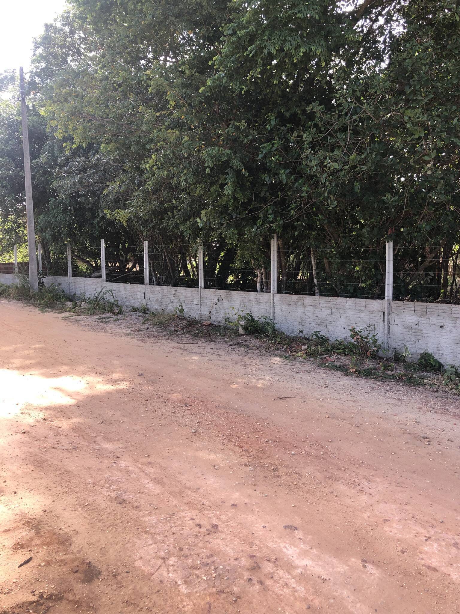 Terreno, 7700 m² - Foto 12