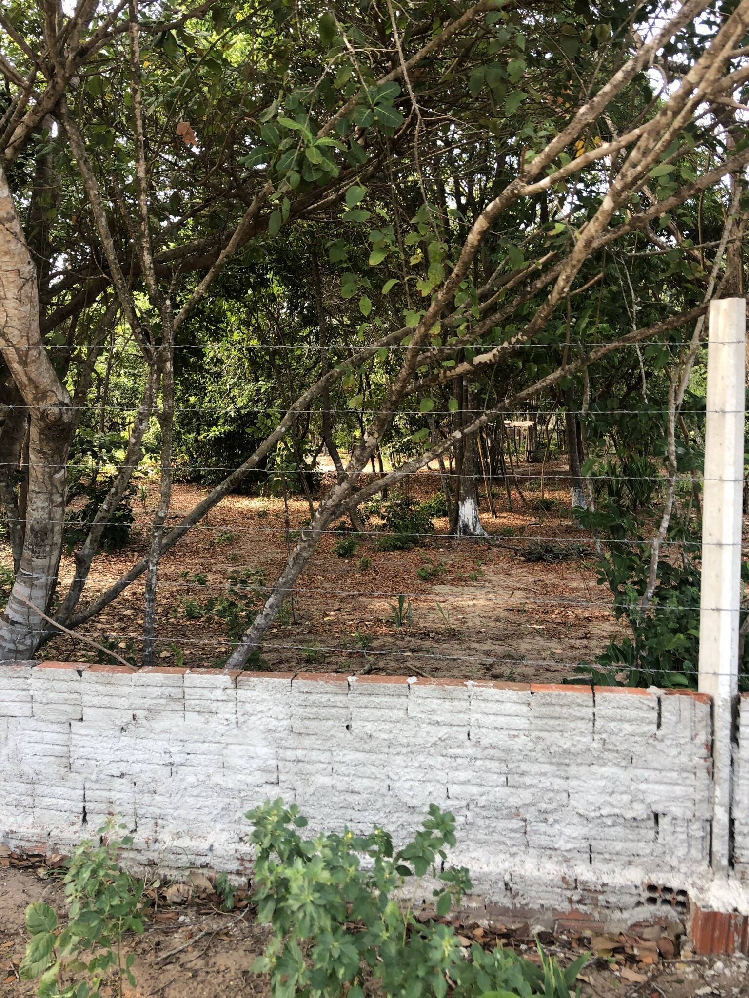 Terreno, 7700 m² - Foto 14