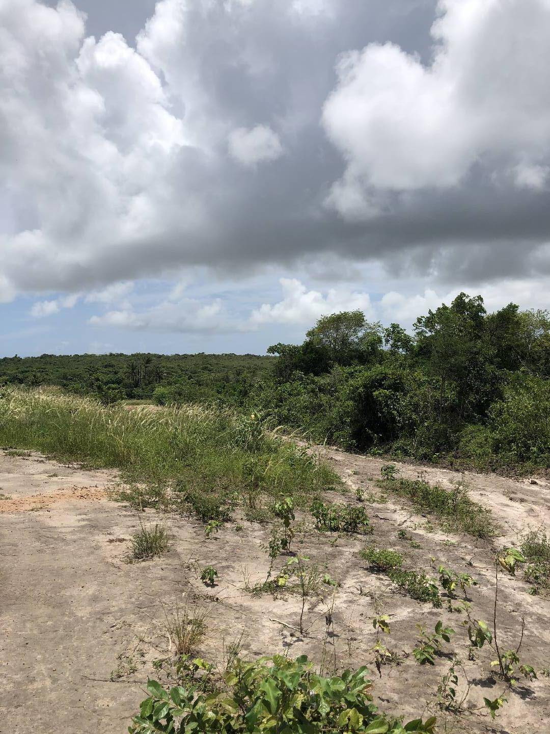 Terreno, 8 hectares - Foto 4