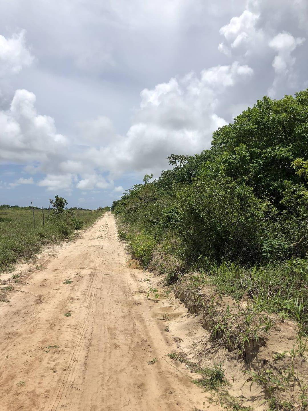 Terreno, 8 hectares - Foto 5