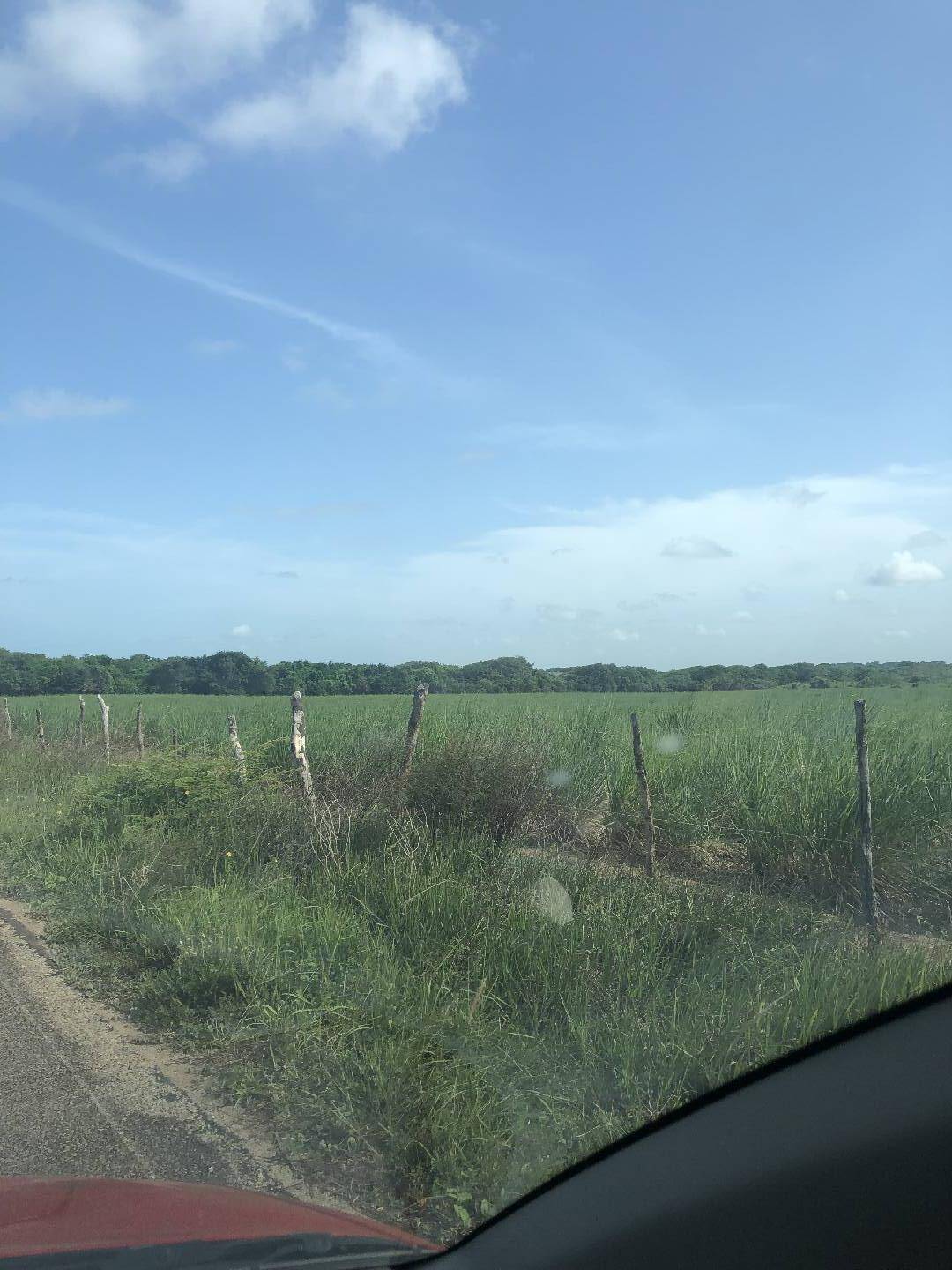 Terreno, 8 hectares - Foto 11