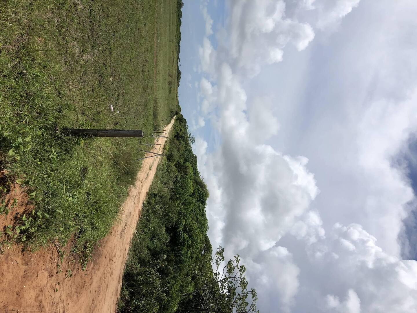 Terreno, 8 hectares - Foto 12