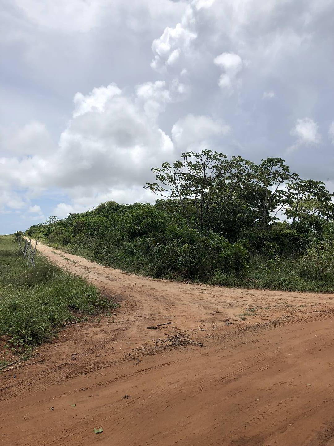 Terreno, 8 hectares - Foto 1