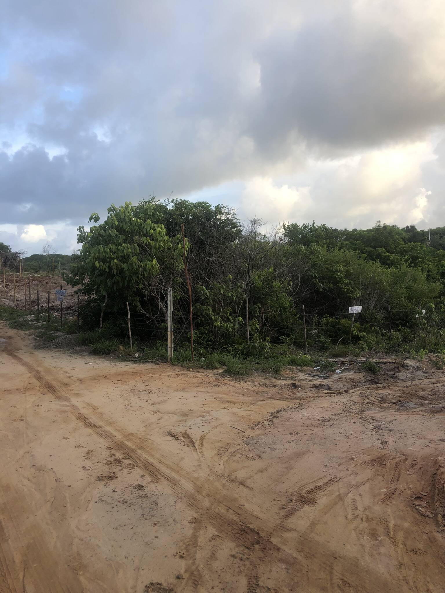 Terreno, 1000 m² - Foto 2