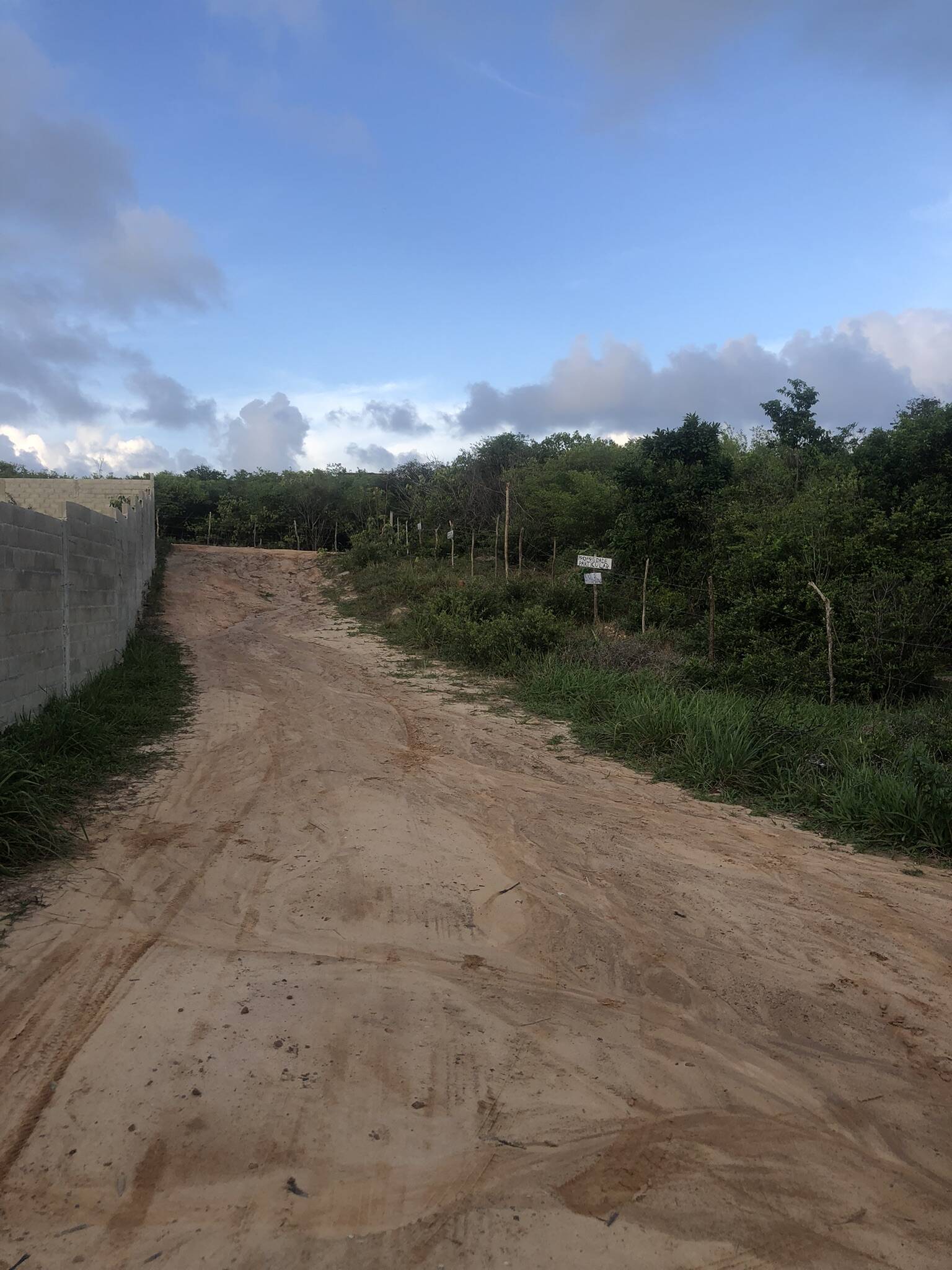 Terreno, 1000 m² - Foto 4