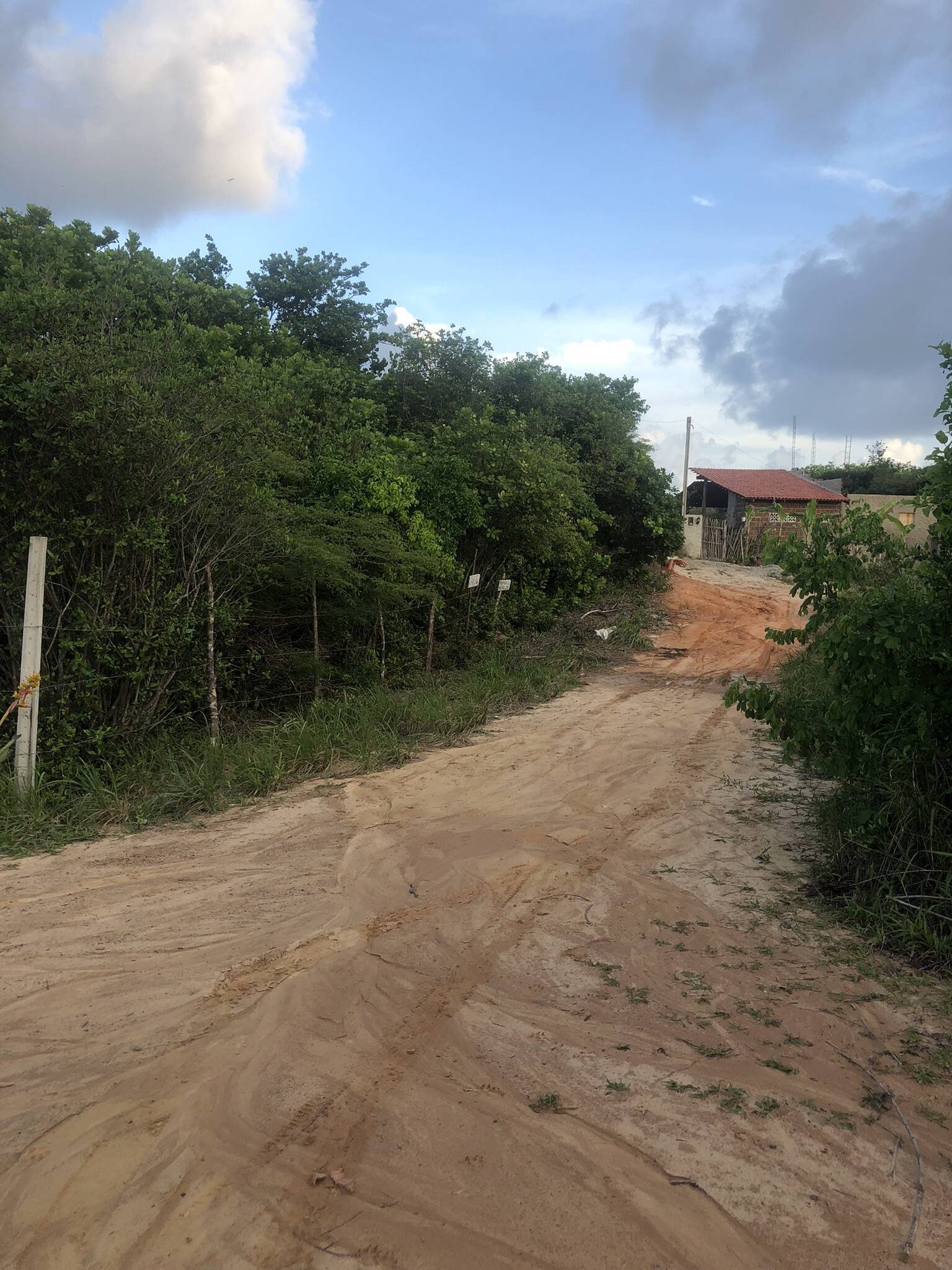 Terreno, 1000 m² - Foto 5