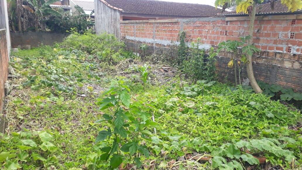 Terreno, 120 m² - Foto 2