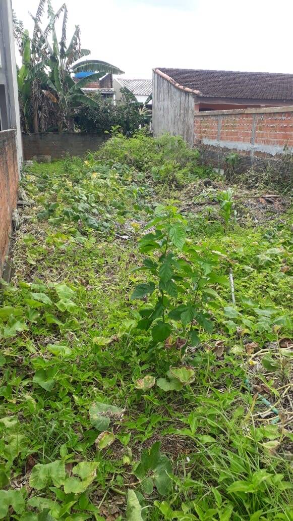 Terreno, 120 m² - Foto 13