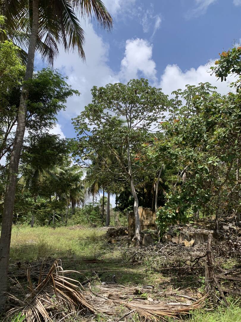 Terreno, 7 hectares - Foto 7