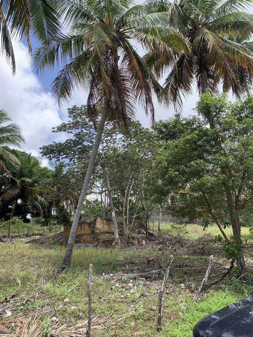 Terreno, 7 hectares - Foto 2