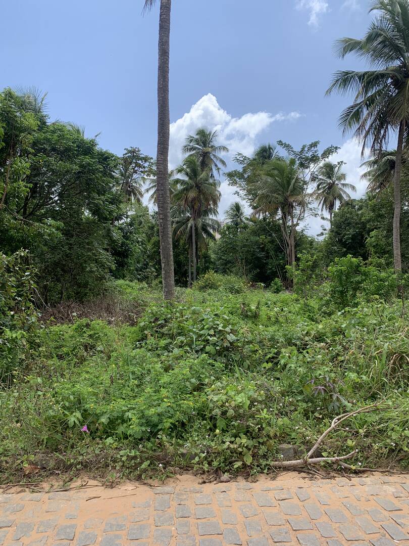 Terreno, 7 hectares - Foto 15