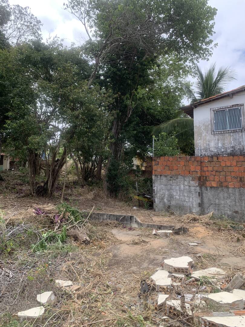 Terreno, 3884 m² - Foto 4