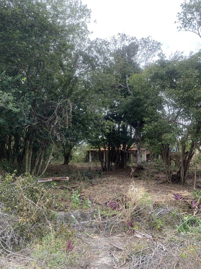 Terreno, 3884 m² - Foto 5