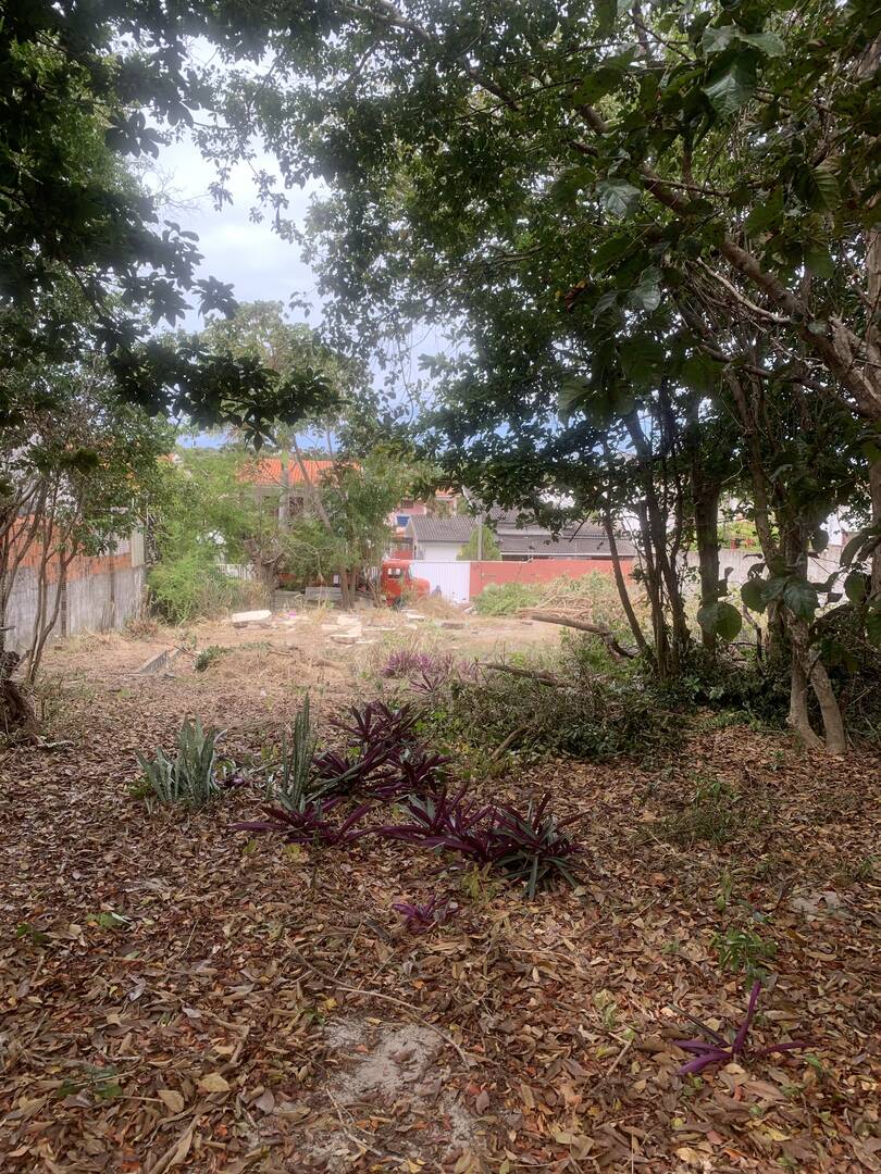 Terreno, 3884 m² - Foto 2
