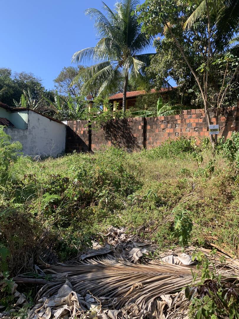 Terreno, 525 m² - Foto 6