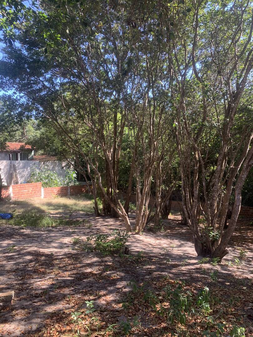 Terreno, 625 m² - Foto 3