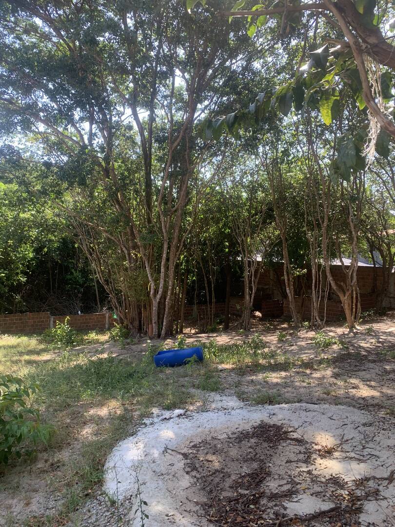 Terreno, 625 m² - Foto 1