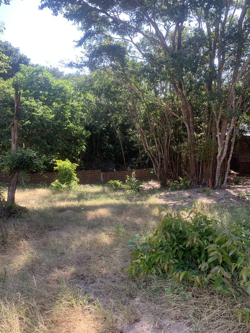 Terreno, 625 m² - Foto 9