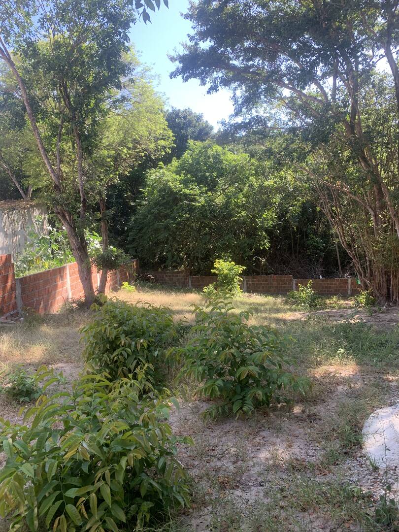 Terreno, 625 m² - Foto 13