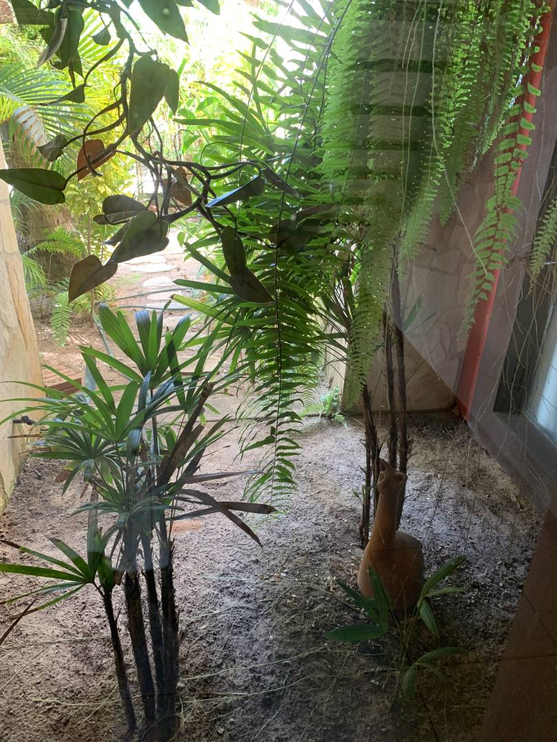 Casa, 2 quartos, 190 m² - Foto 38