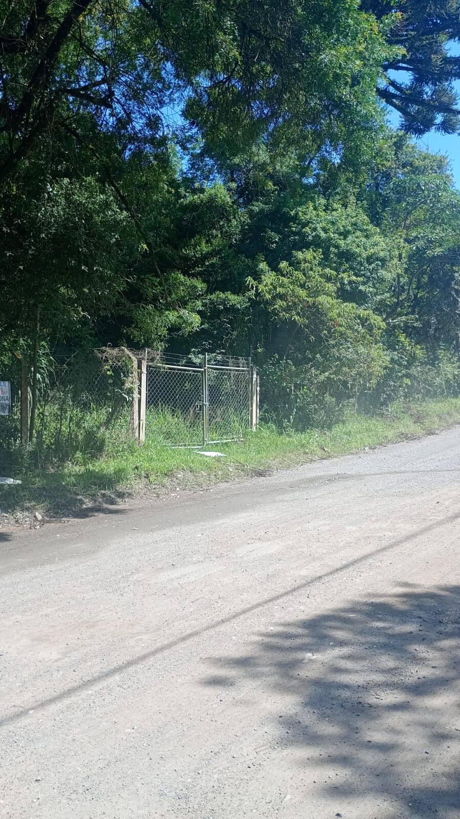 Terreno, 4 hectares - Foto 1