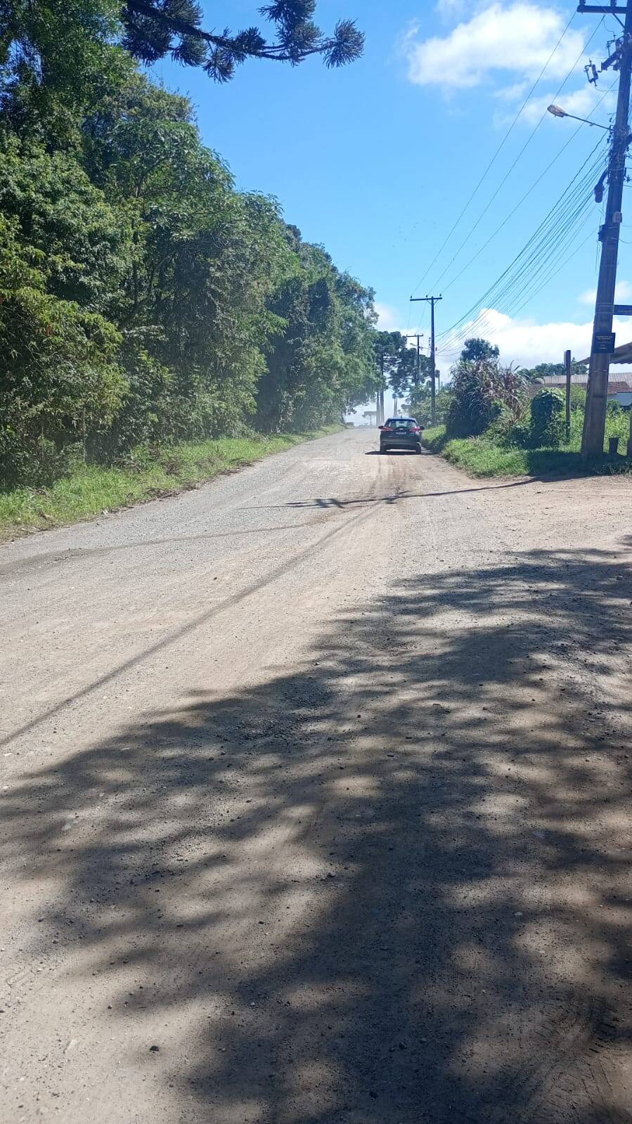 Terreno, 4 hectares - Foto 4