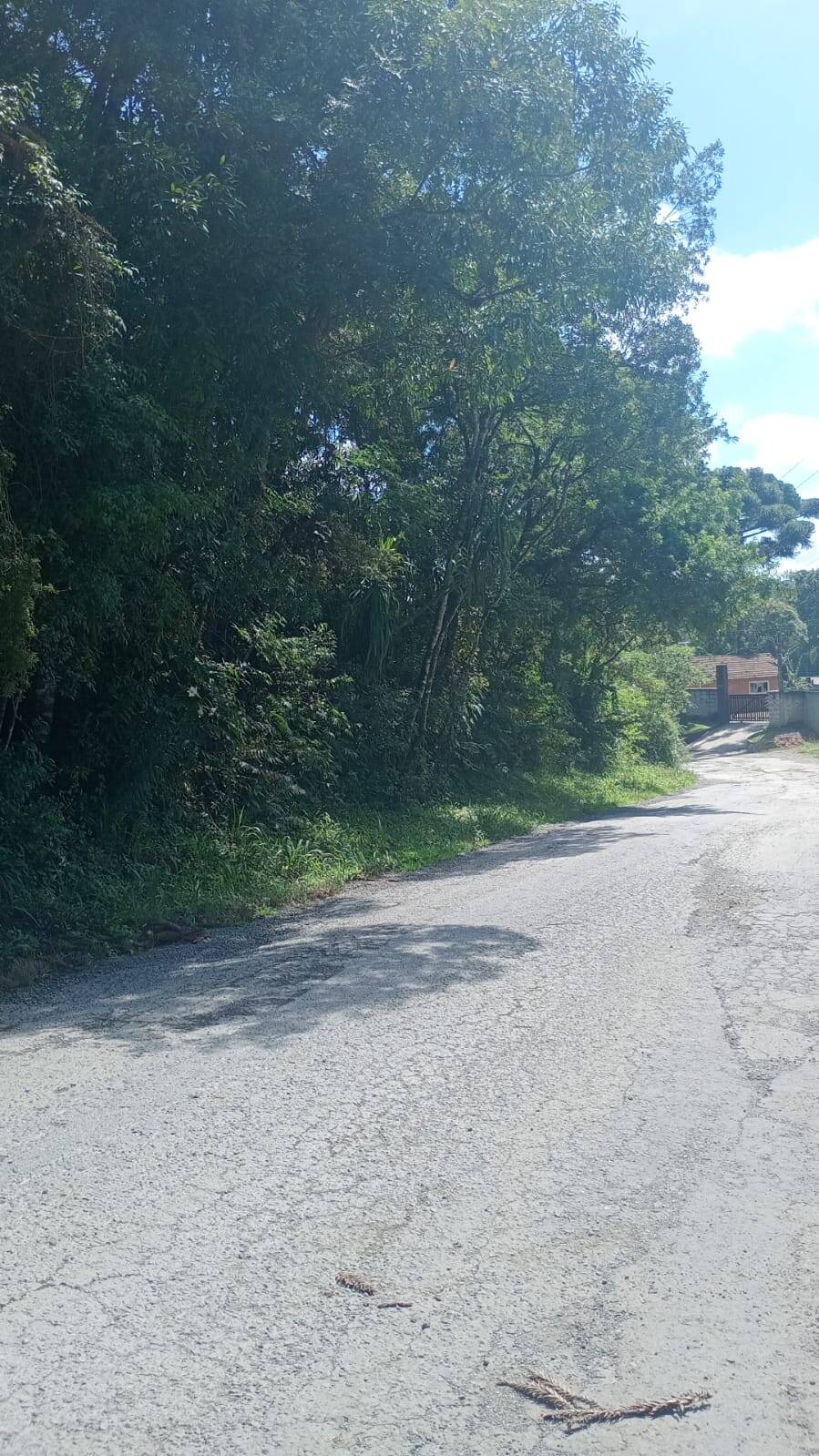 Terreno, 4 hectares - Foto 1