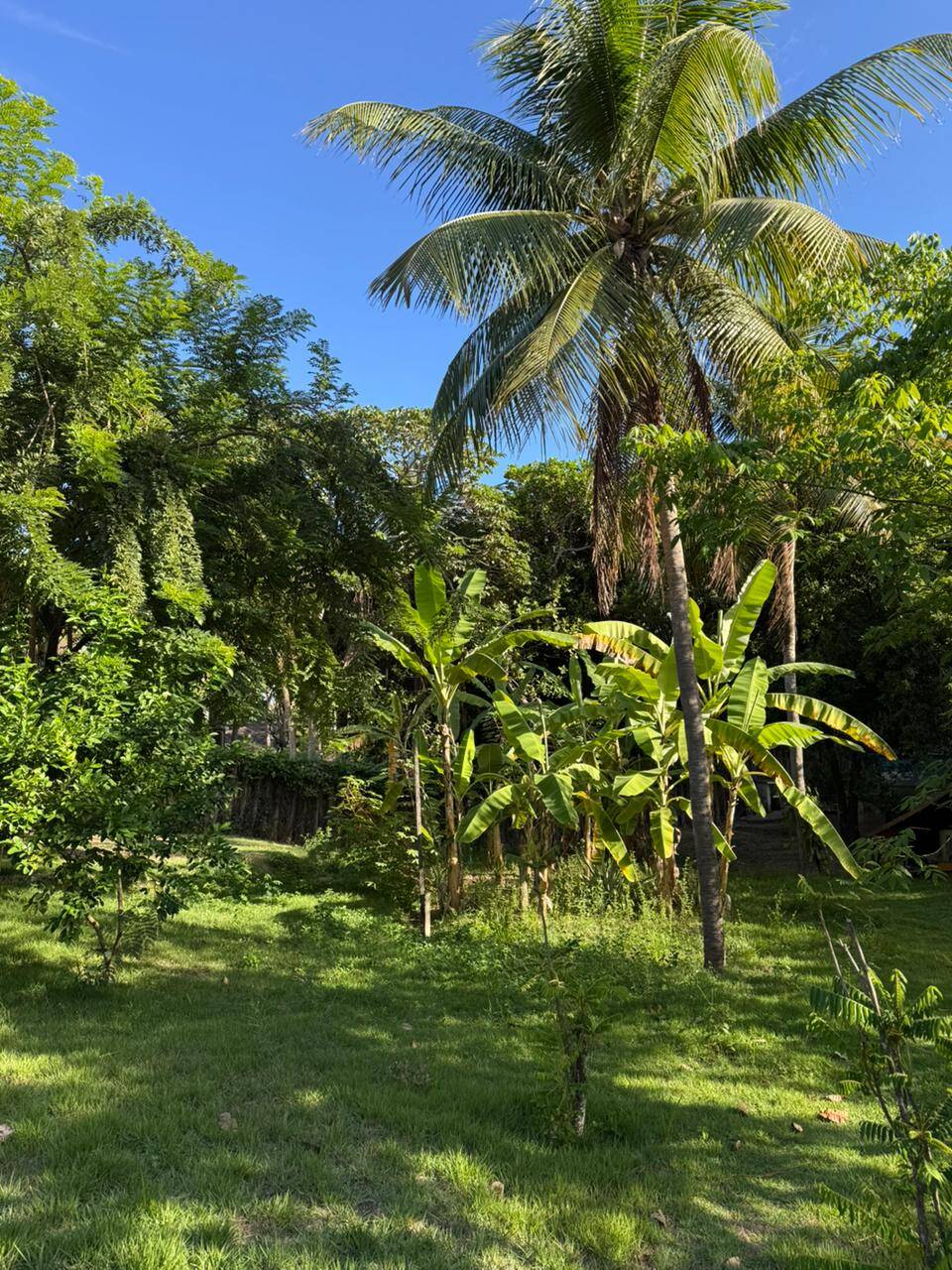 Casa, 5 quartos, 430 m² - Foto 11