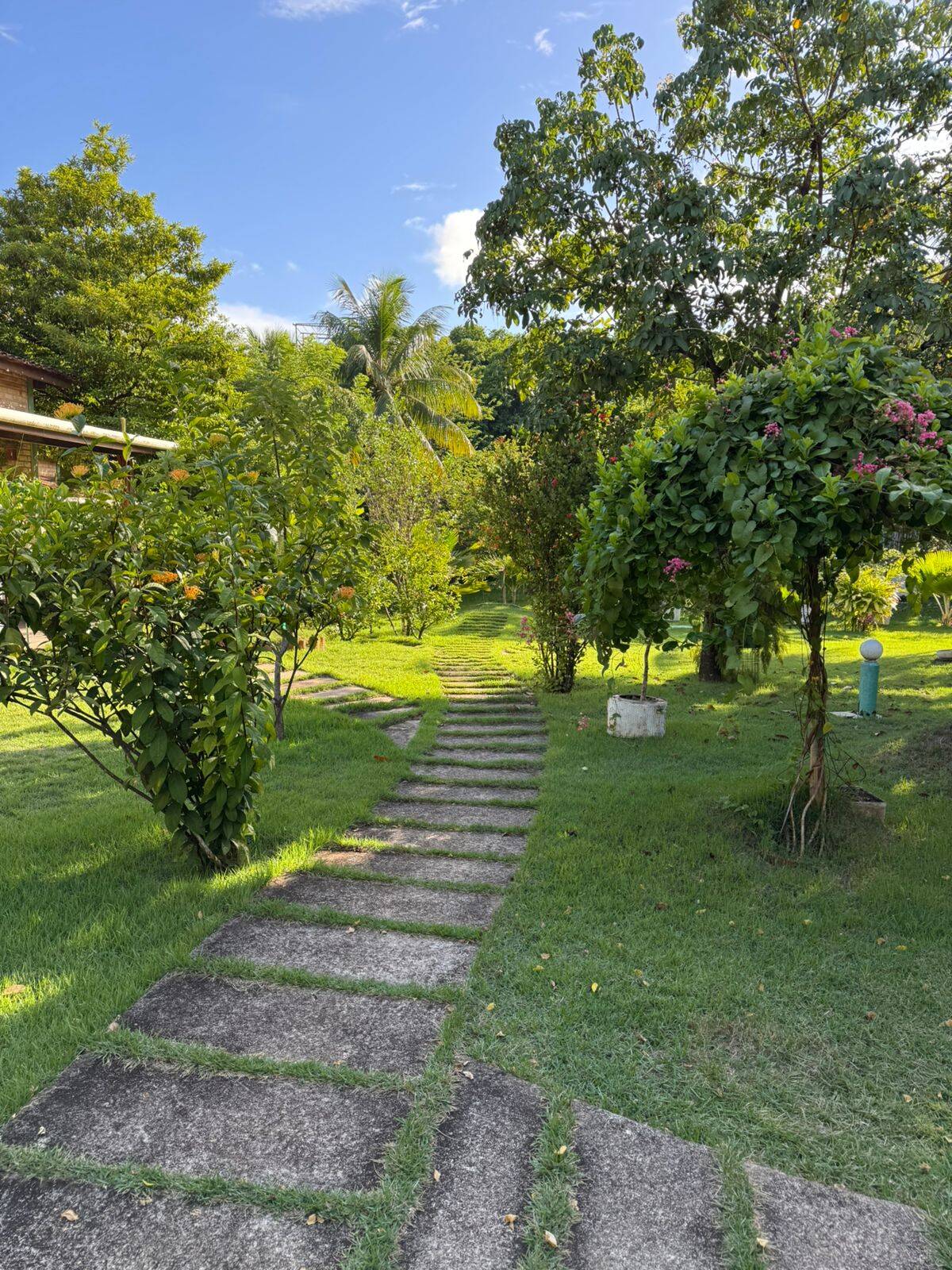 Casa, 5 quartos, 430 m² - Foto 13