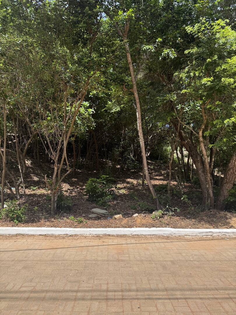 Terreno, 300 m² - Foto 2