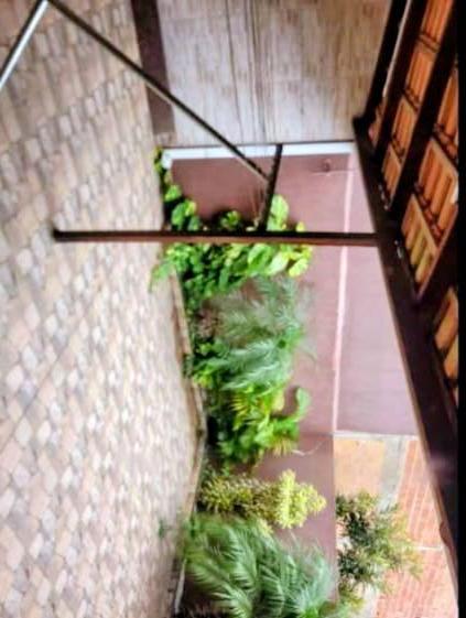 Casa, 2 quartos, 43 m² - Foto 11