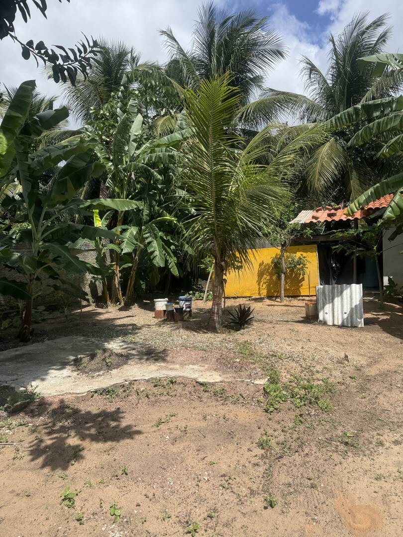 Terreno, 300 m² - Foto 4