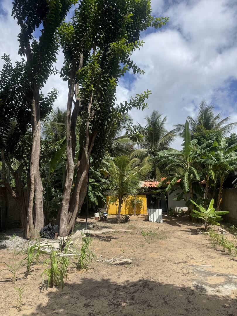 Terreno, 300 m² - Foto 3