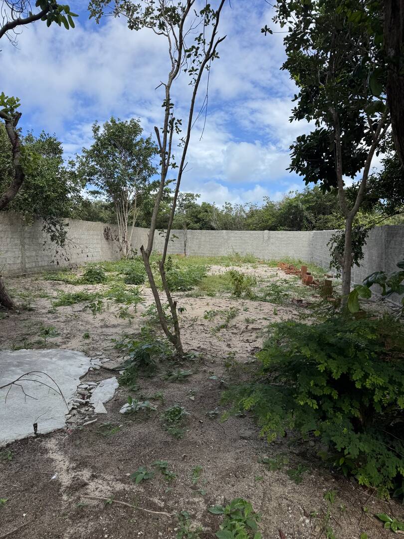 Terreno, 300 m² - Foto 3