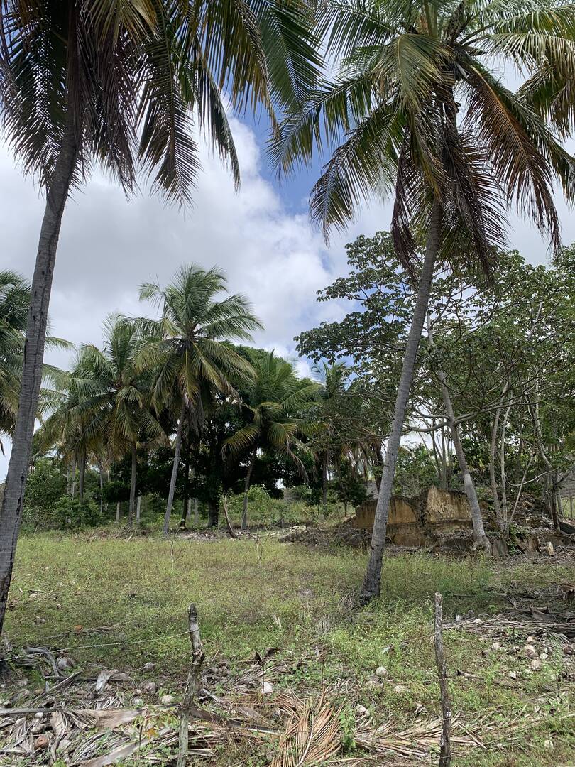 Terreno, 600 m² - Foto 11