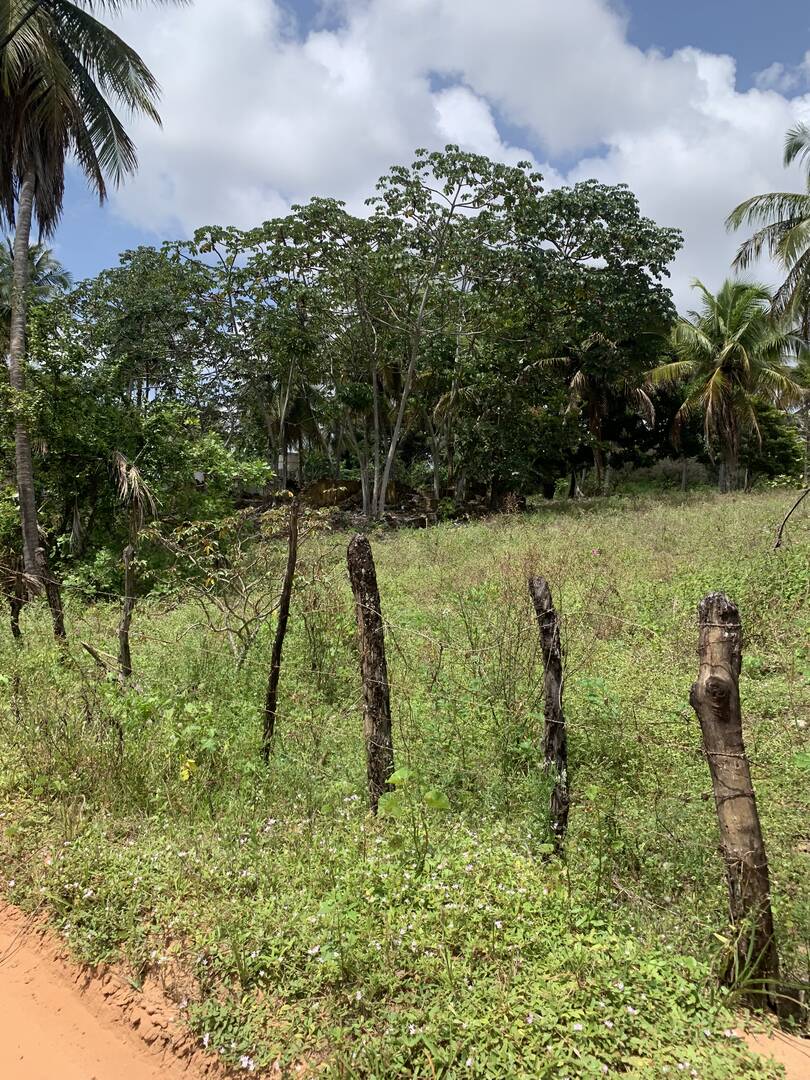 Terreno, 600 m² - Foto 6
