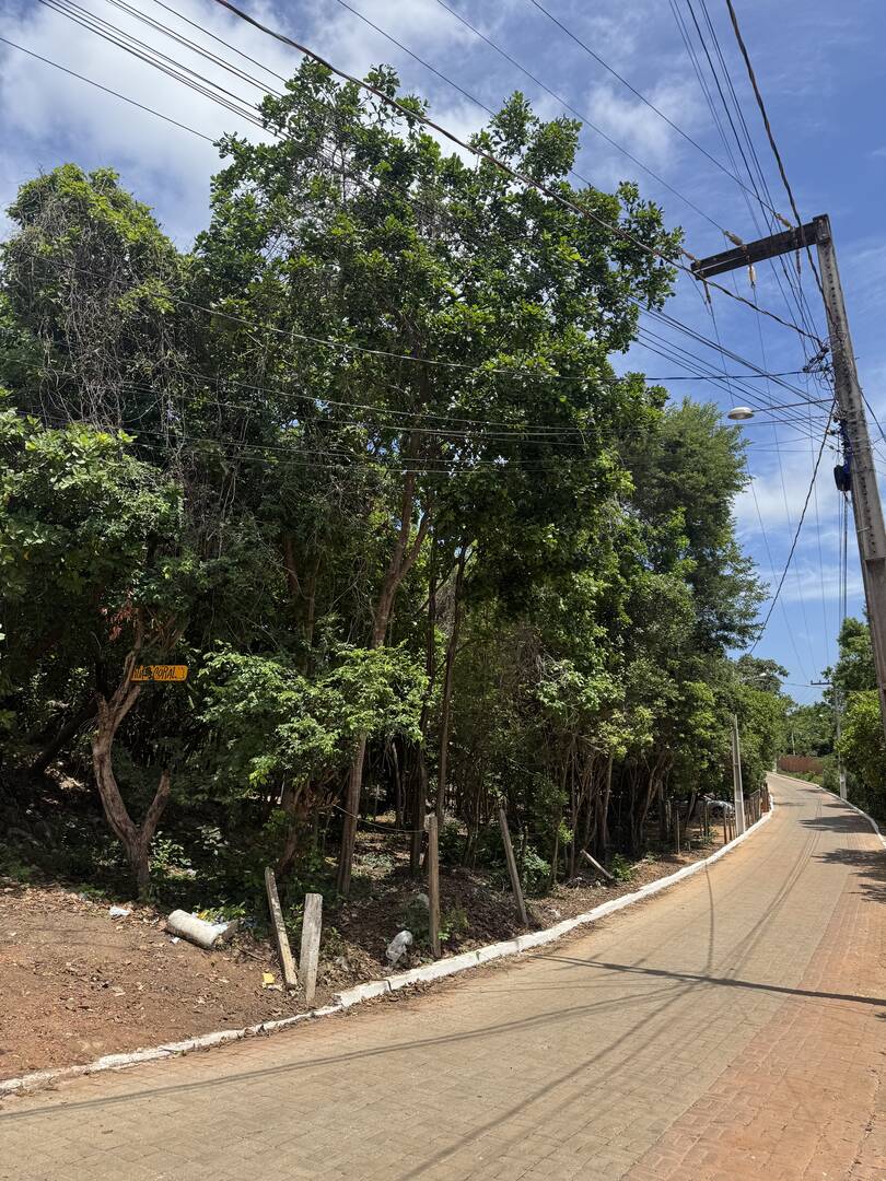 Terreno, 300 m² - Foto 7