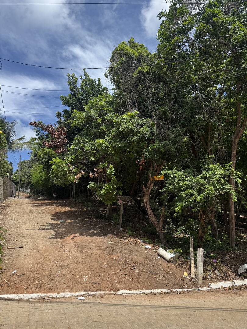 Terreno, 300 m² - Foto 5