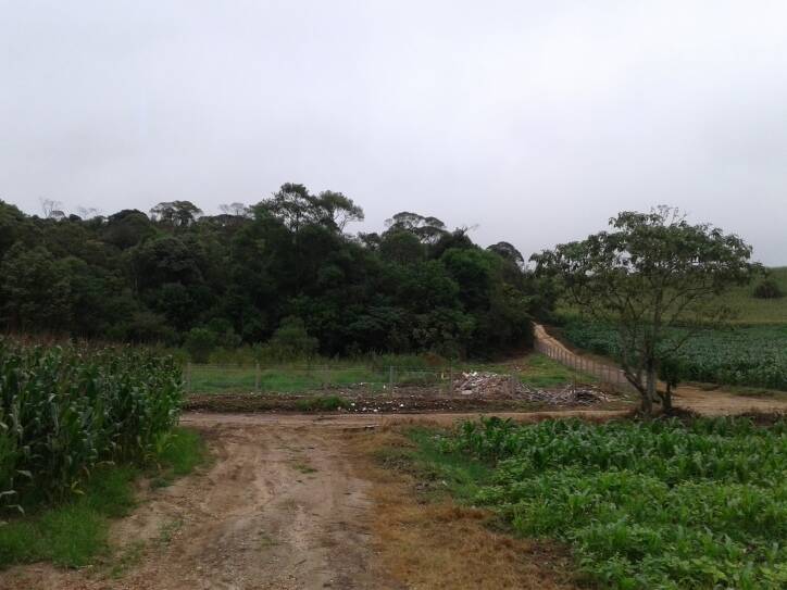 Terreno, 1 hectares - Foto 6