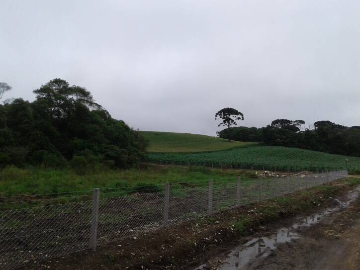 Terreno, 1 hectares - Foto 11