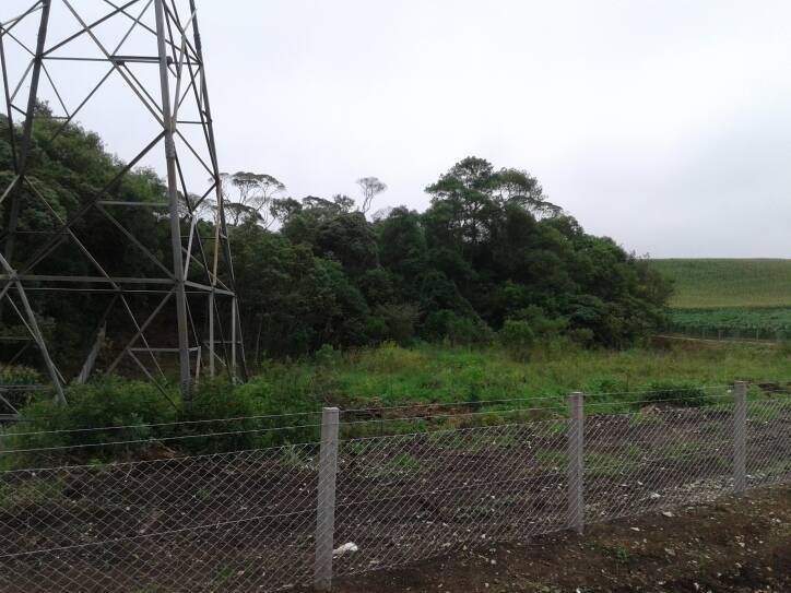Terreno, 1 hectares - Foto 12