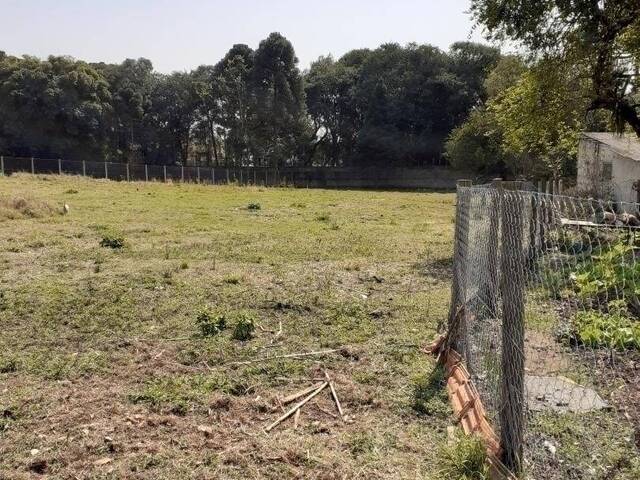 Terreno para Venda em Curitiba - 4
