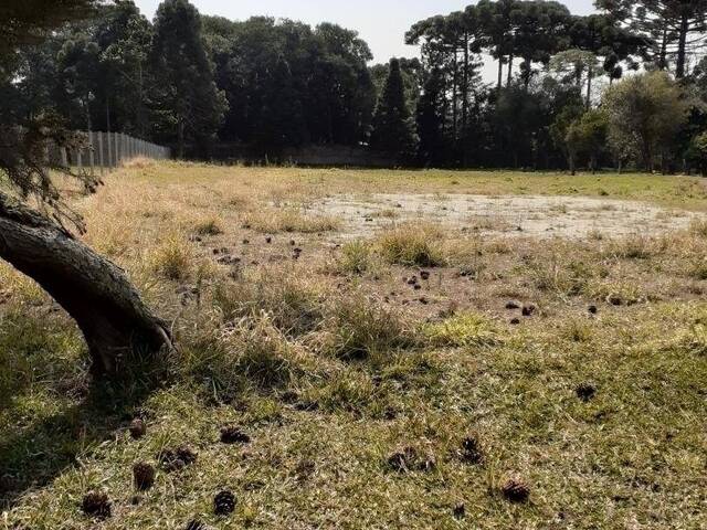 Terreno para Venda em Curitiba - 5