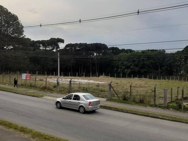 #TC62_9 - Terreno para Venda em Curitiba - PR - 3